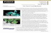 The 'Don't Touch Me Plants' - WNIT · 2018-06-18 · The plants in North America that belong to the group of plants called the spurges (Euphorbia spp. or Chamaesyce spp.) often have