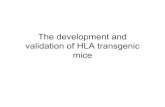 The development and validation of HLA transgenic mice · HLA-restricted recognition of viral antigens in HLA transgenic mice 1987 H. Ploegh – B7 (Chamberlain), Cw3 (Hammerling),