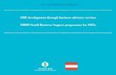 SME development through business advisory services EBRD ...theassociates.ro/files/presentations/db41c7bd3f6c... · EBRD Small Business Support programme for SMEs. Advice for Small