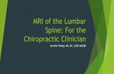 MRI of the Lumbar Spine: For the Chiropractic Clinician Lumbar Spine Notes.pdf · Cerebrospinal fluid Intervertebral discs Vertebral bodies Spinous processes Ligaments Anterior longitudinal