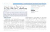 Identification of Genes Involved in Limb Regeneration in ... · Axolotl Ambystoma mexicanum. Andrei Kochegarov*, Ashley Moses-Arms, Michael C. Hanna and Larry F. Lemanski. Department