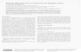 Tissue-Specific Incorporation of Azadirachtin in the Malpighian Tubules of Locus ta ...zfn.mpdl.mpg.de › data › Reihe_C › 43 › ZNC-1988-43c-0903.pdf · 2018-02-09 · Locusta