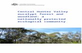 Central Hunter Valley eucalypt forest and woodland: …€¦ · Web viewThe Central Hunter Valley eucalypt forest and woodland ecological community was listed in May 2015 as critically