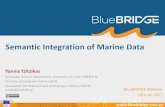 Semantic Integration of Marine Data - ICS-FORTHtzitzik/Seminars/2017_06_28... · 2017-06-28 · BlueBRIDGE (Building Research environments for fostering Innovation, Decision making,