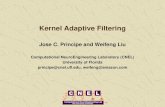 Kernel Adaptive Filtering · 2019-12-18 · 1. Optimal adaptive signal processing fundamentals Learning strategy Linear adaptive filters 2. Least-mean-square in kernel space Well-posedness