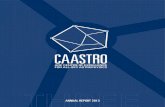 CAASTRO · 2018-04-20 · CAASTRO ANNUAL REPORT 2013 2 3 INTRODUCTION DR ALAN FINKEL AM FTSE CHAIR, CAASTRO ADVISORY BOARD FROM THE CHAIR This is now my third introduction to …