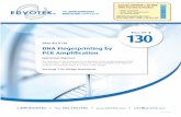DNA Fingerprinting by PCR Ampliﬁ cation · DNA Fingerprinting by PCR Ampliﬁ cation Experiment Objective: The objective of this experiment is to develop a basic understanding of