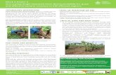 Block 2 Poster 2 Out-scaling Single Diseased Stem Removal …€¦ · Block 2 Poster 2 Out-scaling Single Diseased Stem Removal (SDSR) for quick and effective banana recovery in XW