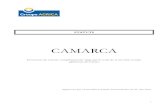 CAMARCA - Groupe AGRICA€¦ · En 2002, considérant l’Accord du 10 février 2001 adopté par les Partenaires Sociaux de l’Arrco et de l’Agirc décidant que les groupes de