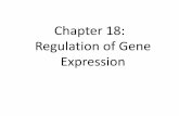 Chapter 18: Regulation of Gene Expression - Sintich Sciencesintichscience.weebly.com/.../1_ch18_gene_expression.pdf · 2018-09-09 · Chapter 18: Regulation of Gene Expression . lism