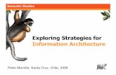 Exploring Strategies for Information Architectureto support usability and findability. • An emerging discipline and community of practice focused on bringing principles of design