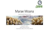 Marae Moana - United Nations › ... › Moana_cookislands.pdf · Marae Moana Act 2017 Purpose (1) The primary purpose is to protect and conserve the ecological, biodiversity, and