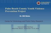 Palm Beach County Youth Violence Prevention Projectcriminology.fsu.edu/...Presentation-September-2005.pdf · Palm Beach County Youth Violence Prevention Project Center for Criminology
