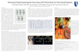 Ultrasound Guided Suprainguinal Fascia Iliaca (SIFI) Nerve ...anesthesiology.duke.edu/wp-content/uploads/2013/08/... · PowerPoint Presentation Author: Dr William Bullock Created