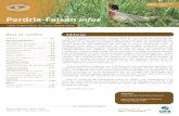 Perdrix Faisan infos - professionnels.ofb.fr › sites › default › files › ...Évolution du taux de prélèvement des perdrix grises par la chasse sur les terrains de référence.