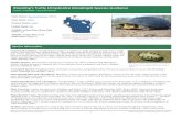 Blanding’s Turtle Emydoidea blandingii) Species Guidance › files › PDF › pubs › er › ER0683.pdfBlanding’s Turtle Species Guidance 3 PUB-ER-683 (last updated August 14,