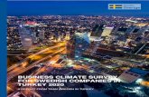 BUSINESS CLIMATE SURVEY FOR SWEDISH ... › globalassets › insights › ...ABOUT THE SURVEY Business Climate Survey explains Turkish Market from Swedish Companies’ perspective