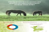 FrencH oFFicial sanitarY serVices organiZation: …...FrencH oFFicial sanitarY serVices organiZation: Horse inDustrY Ponies 25 % Sport horses 43 % Donkeys 9 % Race horses 16 % Draught