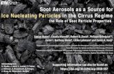 Soot Aerosols as a Source for Ice Nucleating Particles in ... · Lamp Blacks are frequently used in pigment applications and have been investigated for ... "Ice formation by black