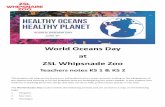 World Oceans Day at ZSL Whipsnade Zoo › sites › default › files › media › 2016... · Sea Lions 3. Flamingos . s o ion. ... -identifying and classifying Animals, including