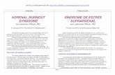ADRENAL BURNOUT SYNDROME · PDF file adrenal gland problems. In 2011, many still do not recognize adrenal insufficiency, adrenal exhaustion or adrenal burnout as real health conditions.