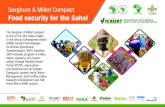 Sorghum & Millet Compact Food security for the Sahel...• Increase value chain efficiency through the reduction of post-harvest losses, increase produce quality, aggregation, traceability