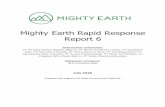 Rapid Response Report 6 - Mighty Earth€¦ · Rapid Response Report - Page 11 PT Pipit Citra Perdana PT Pipit Citra Persada is located in Nunukan Regency, East Kalimantan. The concession