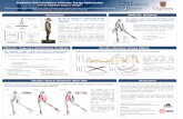 Predictive Gait Simulations of Human Energy Optimizationposa/DynamicWalking... · 𝐹: horizontal and vertical ground reaction force : desired joint angles and ground reaction force