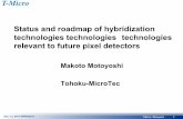 Status and roadmap of hybridization technologies technologies … · 2018-11-21 · - Precisive but inflexible-unpredictable Application driven technology-Need flexibility System