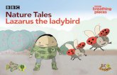 BBC Nature Tales Lazarus the ladybird · PDF file 2016-06-23 · 2 Chop Chop Zzz Zzz. Chop Chop Zzz Zzz. “Time for a progress report,” called Lazarus the ladybird as he flew high