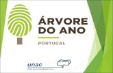 Apresentação - unac.pt§ão_TOY.pdf · A UNAC – União da Floresta Mediterrânica é o organizador do concurso nacional, que habilita a árvore portuguesa vencedora a concorrer