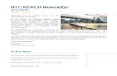 NYC REACH Newsletternycreach.org/.../NYC-REACH-Newsletter-June-2018-2.pdf · Modified Stage 2 or Stage 3 Meaningful Use. During the interactive event, attendees were ... EHR Incentive