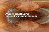 Agriculture - itab.asso.fritab.asso.fr/downloads/AlterAgri/aa125-dossier-biodynamie.pdf · RubriqueActus Dossier L’agriculture biodynamique a été initiée il y a tout juste 90