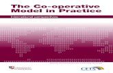 The Co-operative Model in Practice Co... · iv The Co-operative Model in Practice: International perspectives Tony O’Rourke has taught banking, finance and capital markets in a