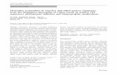 Molecular systematics of Angelica and allied genera ... · (Angelica sensu stricto) upon the inclusion of Coelo-pleurum, Czernaevia, and one of two examined species of Ostericum,