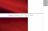Egypt Open for Business · Egypt's core infrastructure is based on optical fiber 10 Gbps and 2.5 Gbps rings. This huge infrastructure is the fundamental layer that connects and delivers