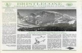 BRISTLECONE - npshistory.com · Bristlecone Pine Trees live in the shadow of 13,063 foot Wheeler Peak exposed to winter ice driven by high winds, becomes beautifully sculpted and