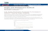 Sugar and Sweeteners Outlook - Cornell University Economic Research Service | Situation and Outlook