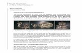 Press release Rubens: sketches and silverware! · 2014-09-24 · The confrontation between the Torre de la Parada sketches and the King Baudouin King Baudouin Foundation silverwareFoundation