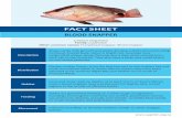 FACT SHEET BLOOD SNAPPER › ... › ORI-Fish-Fact-Sheet-Blood-Snapper-F… · FACT SHEET BLOOD SNAPPER Lutjanus sanguineus Family: Lutjanidae Other common names: Humphead snapper,