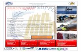 Douala, le 02 Janvier 2009 - ShipServ · COMPANY PROFILE GOLDEN INTERNATIONAL TRADING SARL - FREIGHT AND FORWARDING ... - MAN POWER Company Overview GIT is registered as a company