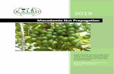 Macadamia Seedlings Mobile App TEMPLATE March 2019 … · Nut Company, Jungle Nut, Agriculture Development Cooperation, macadamia nut is mainly grown by small-scale farmers (Hirama