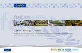 LIFE tra gli olivi › sites › default › files › progetti › ...Questa brochure valuta l’importante contri-buto del programma LIFE al miglioramento del rendimento ambientale