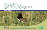 BENGAL FLORICAN CONSERVATION ACTION PLANdnpwc.gov.np/media/publication/Bengal_Florican_Action... · 2020-04-10 · distribution of Bengal Florican is exclusively restricted in and