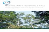 Promoting China's Engagement in Africa · 2016-05-19 · Promoting China’s Engagement in Africa | 3 Once the VPA is fully operational, all affected forest products (includ-ing those