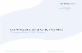 Certificate and CRL Profiles€¦ · M B Lifetime of certificate