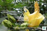 MASCARIN - Département de La Réunion › sites › default › files › ... · 2020-03-11 · pour la ou le plus rapide à répondre au quizz de Mascarin! Le jardin aux mille et