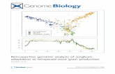 Retrospective genomic analysis of sorghum adaptation to … · 2017-08-25 · RESEARCH Open Access Retrospective genomic analysis of sorghum adaptation to temperate-zone grain production