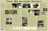 The Hydatid Times - Stellenbosch University · Splenic involvement by hydatid disease is rare. In general it develops following systemic dissemination or intraperitoneal spead of