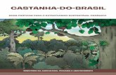 CASTANHA-DO-BRASIL · dendo-se da Bolívia, Peru e Brasil, até o escudo das Guianas, compreendendo o Suriname, as Guianas e o sul da Venezuela, na região do Rio Negro. As áreas